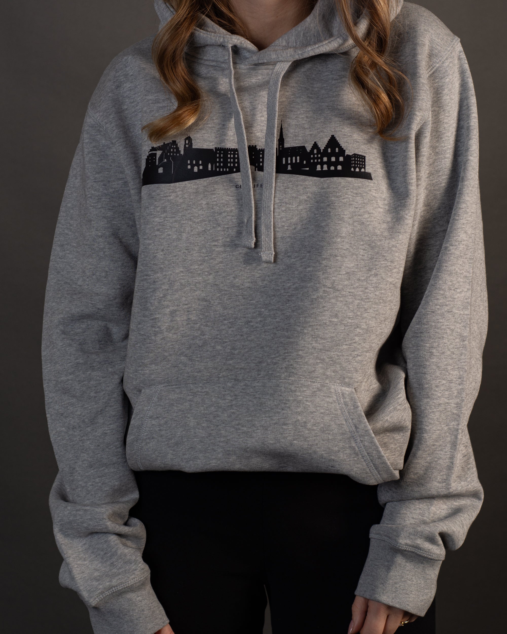 Hoodie "Skyline"